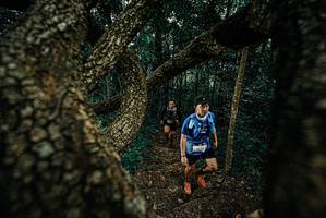 BIB: 
                            <button type="button" onclick="openModal(25696170)" class="btn btn-primary btn-sm float-right btn-popup" data-toggle="modal" data-target=".modal-high-quality">
                        <i class="fas fa-shopping-cart"></i> Add to Cart
                    </button>
                                            <button type="button" onclick="isThisMe(25696170, true)" class="btn btn-success btn-sm float-right btn-popup btn-isme hidden" data-toggle="tooltip" data-placement="bottom" title="นี่คือรูปของคุณใช่ไหม คลิกที่นี่เพื่อเอาเข้าอัลบั้ม">
                        <i class="fas fa-plus"></i> Add to album
                    </button>
                    <button type="button" onclick="isThisMe(25696170, false)" class="btn btn-warning btn-sm float-right btn-popup btn-isnotme hidden">
                        <i class="fas fa-ban"></i> Remove from album
                    </button>